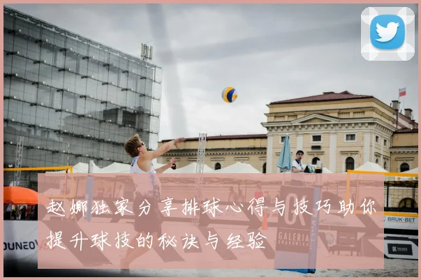 赵娜独家分享排球心得与技巧助你提升球技的秘诀与经验