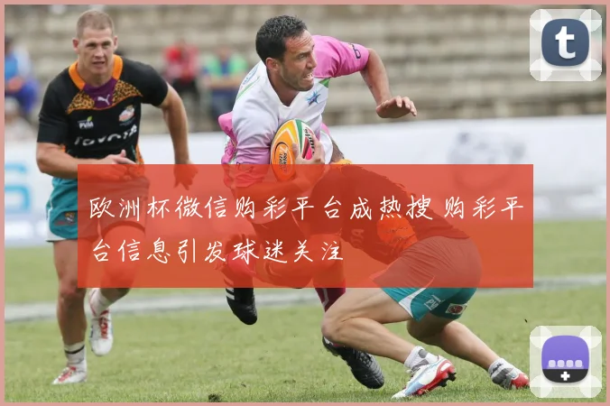 欧洲杯微信购彩平台成热搜 购彩平台信息引发球迷关注