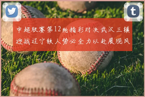 中超联赛第12轮精彩对决武汉三镇迎战辽宁铁人势必全力以赴展现风采