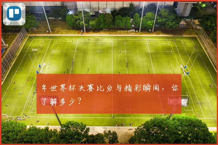 年世界杯决赛比分与精彩瞬间，你了解多少？