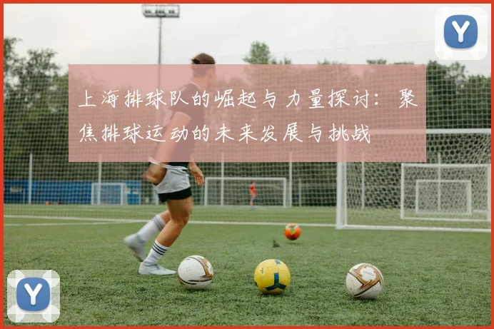 上海排球队的崛起与力量探讨：聚焦排球运动的未来发展与挑战