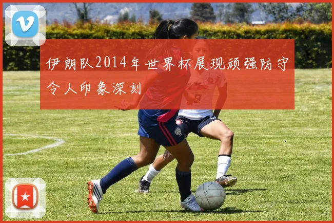 伊朗队2014年世界杯展现顽强防守令人印象深刻