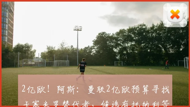 2亿欧！阿斯：曼联2亿欧预算寻找卡塞米罗替代者，候选有托纳利等