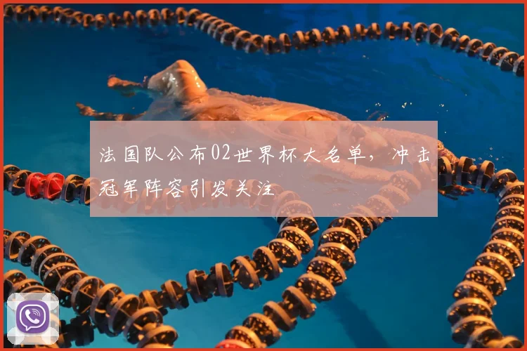 法国队公布02世界杯大名单，冲击冠军阵容引发关注