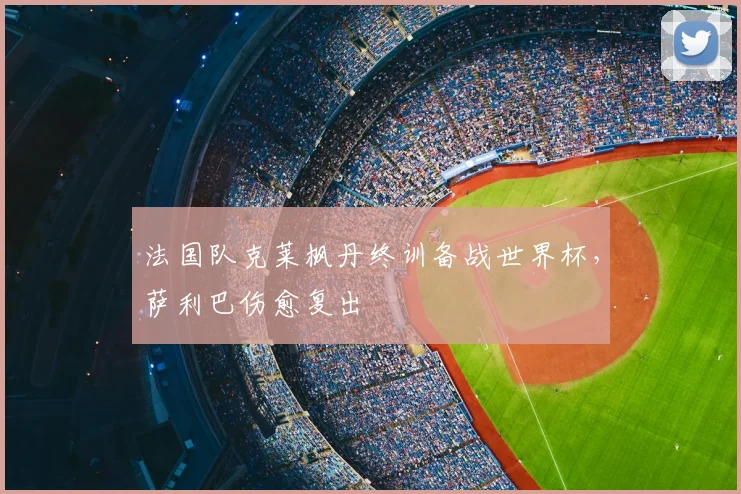 法国队克莱枫丹终训备战世界杯,萨利巴伤愈复出
