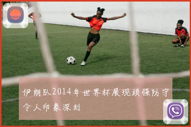 伊朗队2014年世界杯展现顽强防守令人印象深刻