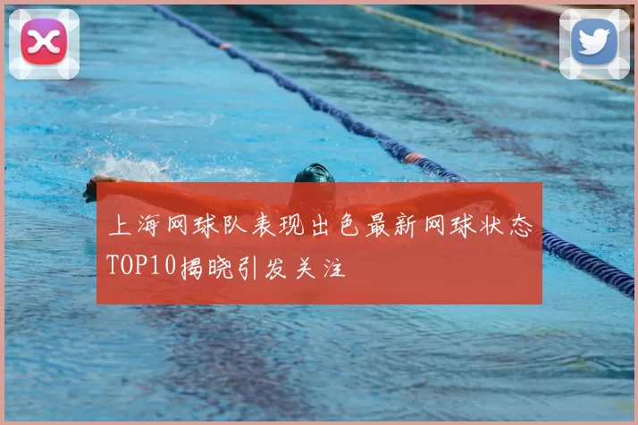 上海网球队表现出色最新网球状态TOP10揭晓引发关注