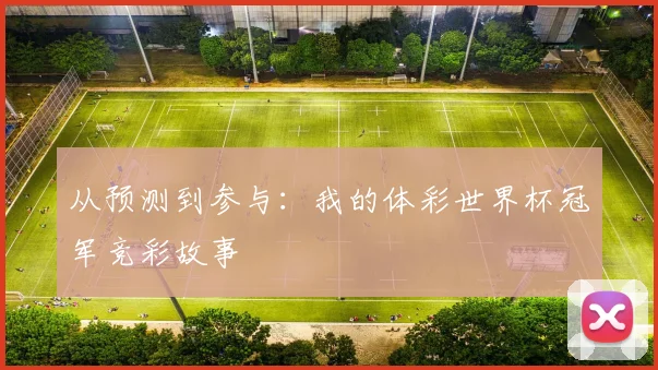 从预测到参与：我的体彩世界杯冠军竞彩故事