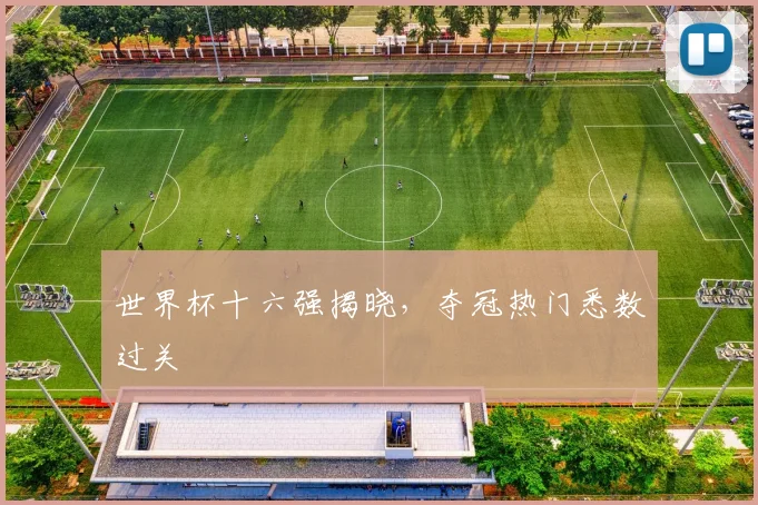 世界杯十六强揭晓，夺冠热门悉数过关