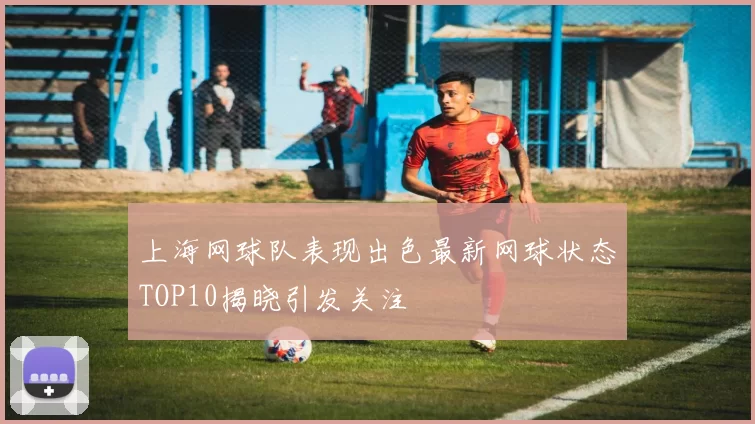 上海网球队表现出色最新网球状态TOP10揭晓引发关注