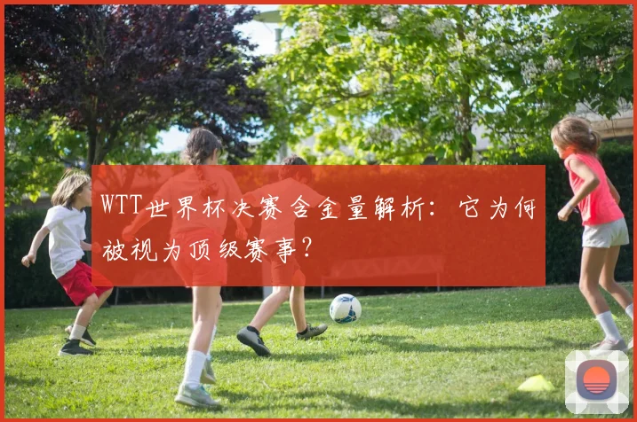 WTT世界杯决赛含金量解析：它为何被视为顶级赛事？