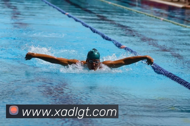 多媒体互动体验