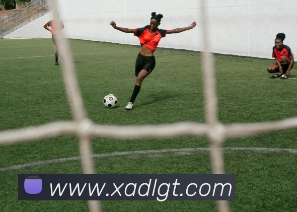 爱游戏体育APP 高清赛事图